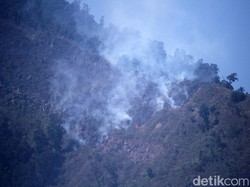 Kebakaran Hutan Meluas, 26 Ha Lahan Gunung Malabar dan Puncak Mega Hangus