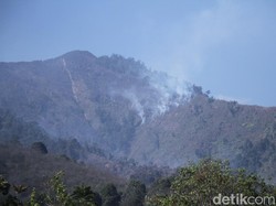 Polisi Selidiki Penyebab Kebakaran Lahan Gambut di Gunung Malabar