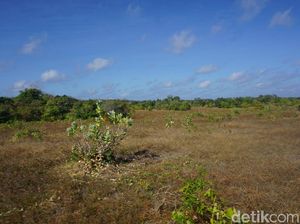 Kisah Misterius Pulau Paling Selatan Indonesia
