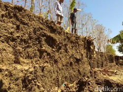 Ada 8 Titik Bantaran Bengawan Solo di Lamongan Longsor Selama Kemarau