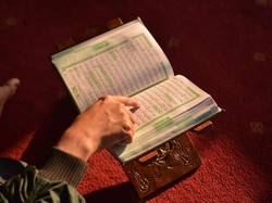 7 Makanan Selain Babi yang Juga Diharamkan Dalam Islam