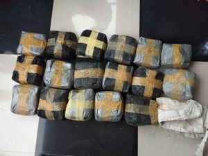 BNN Tangkap Penyelundup 38 Kg Sabu di Kaltim, Salah Satunya Seorang PNS