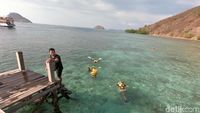 Momen Sehari Berlayar di Labuan Bajo, Epik!