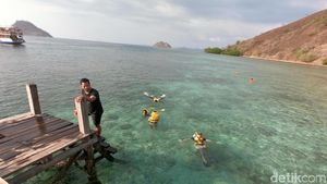 Momen Sehari Berlayar di Labuan Bajo, Epik!