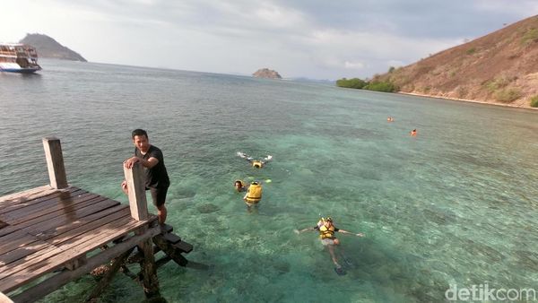 Momen Sehari Berlayar di Labuan Bajo, Epik!