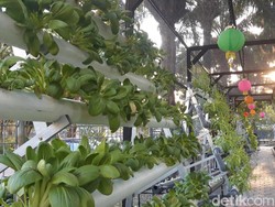 Menikmati Sejuk dan Asrinya Masjid Edu Park di Surabaya