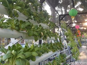 Menikmati Sejuk dan Asrinya Masjid Edu Park di Surabaya Menikmati Sejuk dan Asrinya Masjid Edu Park di Surabaya