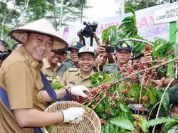 Profil Bupati Lampung Utara yang Kena OTT KPK: Kader Muda dari Nasdem