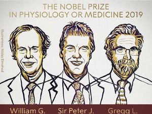 Teliti Cara Sel Bernapas, Ini Tiga Ilmuwan Peraih Nobel Kedokteran 2019
