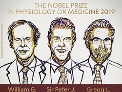 Teliti Cara Sel Bernapas, Ini Tiga Ilmuwan Peraih Nobel Kedokteran 2019