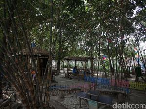 Menikmati Rindangnya Wisata Hutan Bambu