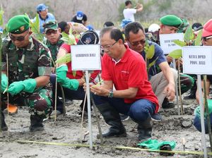 Kawasan Eks Reklamasi Pelindo di Bali Akan Dijadikan Taman Hutan Kota