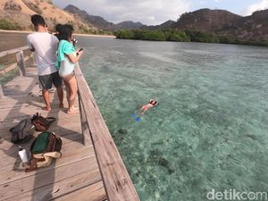 Seru! Kisah Sehari Berlayar di Labuan Bajo