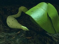 Keren! China Pamerkan Kesuksesan Tumbuhkan Kapas di Bulan