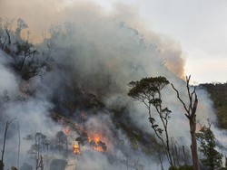 Lahan Gambut di Kawasan Wisata Kawah Putih Terbakar