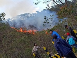 Belasan Hektare Lahan Gambut di Gunung Papandayan Terbakar