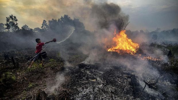 A young boy try to extinguish a fire at a peatland area near their neighbourhood in Pekanbaru, Riau province, on October 4, 2019. (Photo by WAHYUDI / AFP)