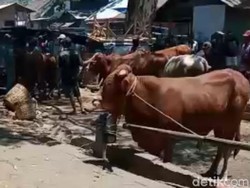 Pasokan Langka, Pedagang Daging Sapi Tuntut Pemerintah Turun Tangan