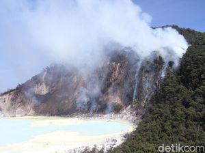 Cegah Kebakaran Hutan Meluas, Petugas Lokalisasi Area Kawah Putih Cegah Kebakaran Hutan Meluas, Petugas Lokalisasi Area Kawah Putih