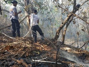 Kebakaran Hutan di Gunung Tambora Terus Terjadi