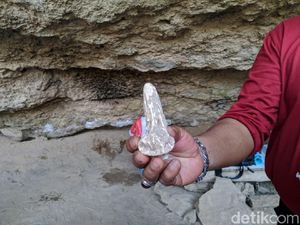Perbedaan Pebble Culture, Bone Culture, dan Flake Culture serta Sejarahnya Perbedaan Pebble Culture, Bone Culture, dan Flake Culture serta Sejarahnya