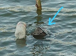 Disparbud Lamongan Lapor BPCB Jatim soal Perahu Baja di Bengawan Solo