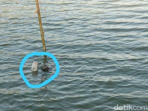 Perahu Baja di Bengawan Solo Diduga Peninggalan Zaman Belanda