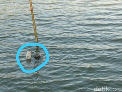 Perahu Baja di Bengawan Solo Diduga Peninggalan Zaman Belanda