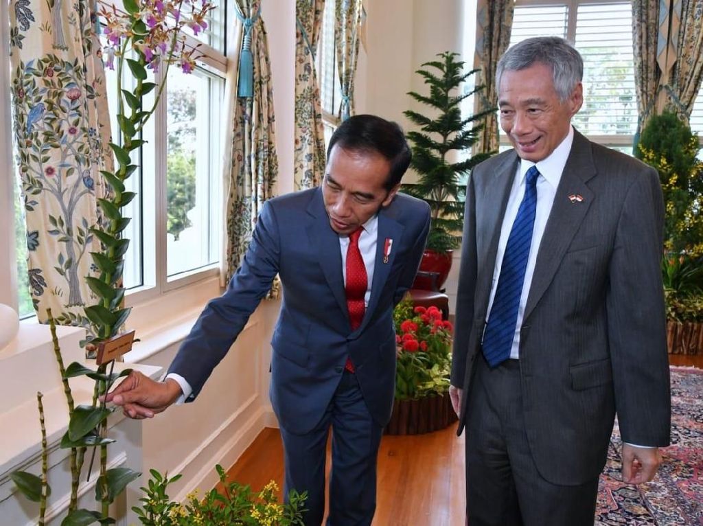 Jokowi ke Istana Singapura, Anggrek Iriana Jokowi Jadi Perhatian Jokowi ke Istana Singapura, Anggrek Iriana Jokowi Jadi Perhatian