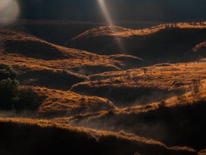 Nafas Hutan Nafas Hutan