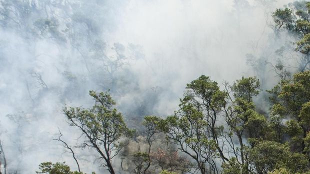 Asap masih membumbung di area kabakaran di Kawah Putih.