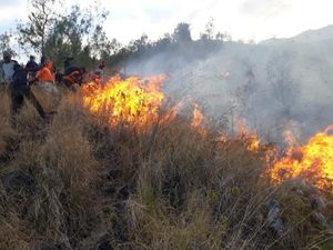 Gunung Arjuno Terbakar Lagi, Api Berkobar di Tebing Curam 1.600 Mdpl