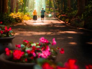 Menikmati Hutan Menikmati Hutan