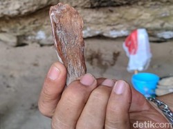 Arkeolog Temukan Peralatan Prasejarah Berusia 7.000 Tahun