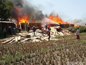 Ribuan Lembar Kayu Jati yang Dijemur Terbakar, 3 Damkar Dikerahkan