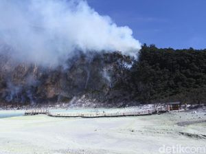 Sempat Ditutup, Wisata Kawah Putih Bandung Kembali Dibuka Besok Sempat Ditutup, Wisata Kawah Putih Bandung Kembali Dibuka Besok