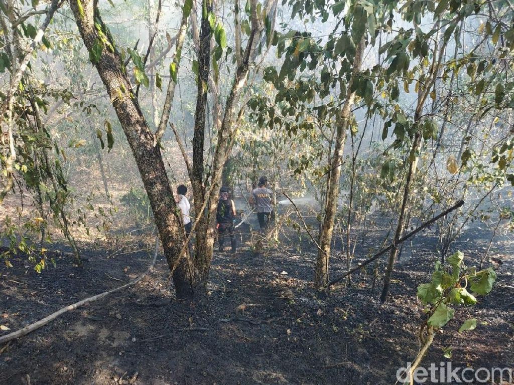 Ada Kebakaran Hutan, Jalur Pendakian Gunung Tambora Masih Aman Ada Kebakaran Hutan, Jalur Pendakian Gunung Tambora Masih Aman