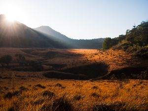 Hutan Tegal Panjang Hutan Tegal Panjang