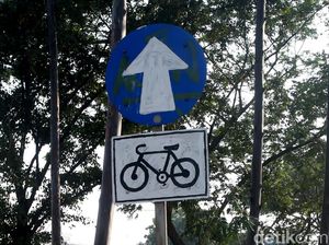 Dishub DKI Klaim Jumlah Pesepeda Naik Dratis sejak Uji Coba Jalur Khusus