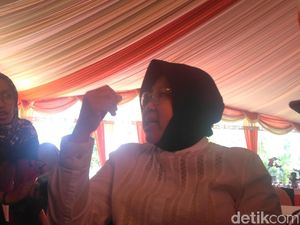 Ini Upaya Risma agar Tak Ada Pemburu Satwa Dilindungi di Hutan Mangrove Ini Upaya Risma agar Tak Ada Pemburu Satwa Dilindungi di Hutan Mangrove