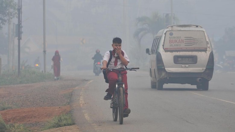 KLHK: Karhutla di Jambi dan Kalsel Berkurang, Kualitas Udara Membaik