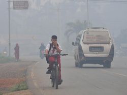 KLHK: Karhutla di Jambi dan Kalsel Berkurang, Kualitas Udara Membaik