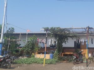 Bahagianya Warga Kampung Akuarium Anies Akan Bangun Rumah Lapis