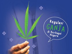Malaysia Akan Legalkan Ganja, Negara-negara Ini Lebih Dulu Melakukannya