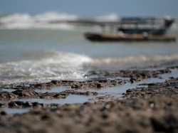 Kerugian Imbas Tumpahan Minyak Montara Ditaksir Triliunan Rupiah