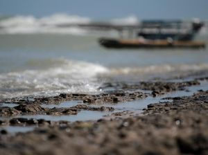 Kerugian Imbas Tumpahan Minyak Montara Ditaksir Triliunan Rupiah Kerugian Imbas Tumpahan Minyak Montara Ditaksir Triliunan Rupiah