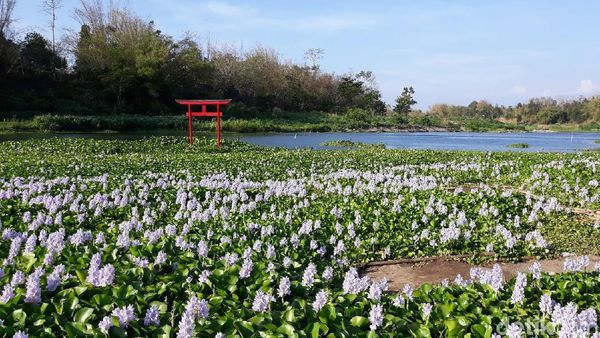 Foto: Yang Baru dan Instagramable di Bantul