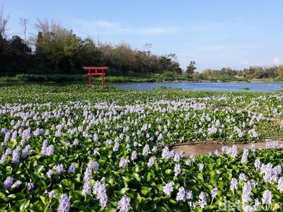Foto: Yang Baru dan Instagramable di Bantul