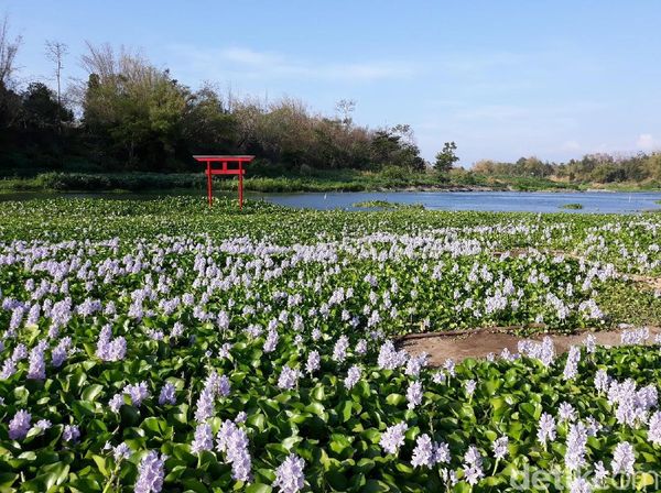 Foto: Yang Baru dan Instagramable di Bantul