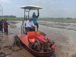 Petani Kini Bisa Tanam Padi Sambil Duduk di Bawah Pohon